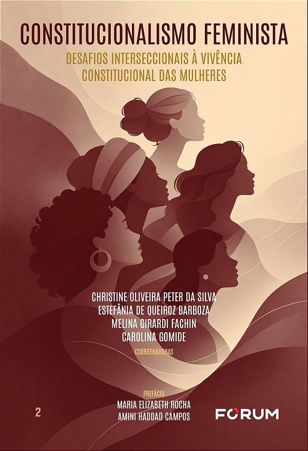Constitucionalismo feminista: desafios interseccionais à vivência constitucional das mulheres (Volume 2)