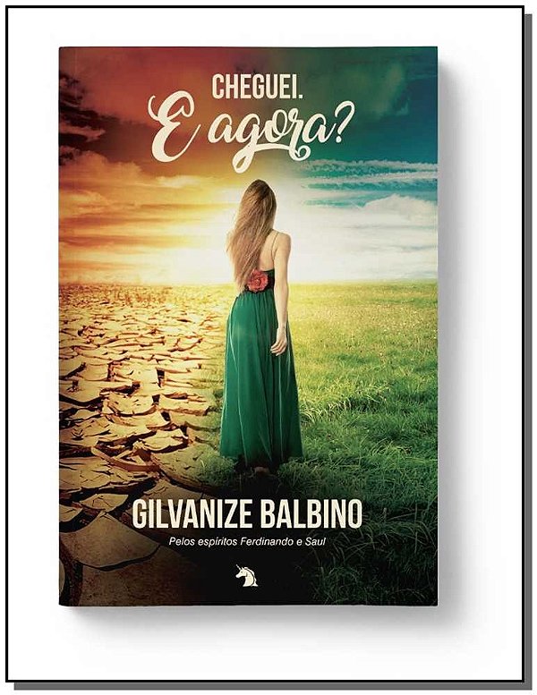 Cheguei. E Agora?