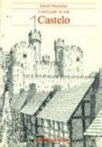 Construção De Um Castelo