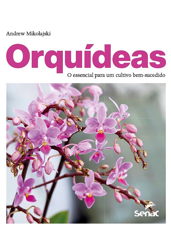 Orquídeas: o essencial para um cultivo bem-sucedido