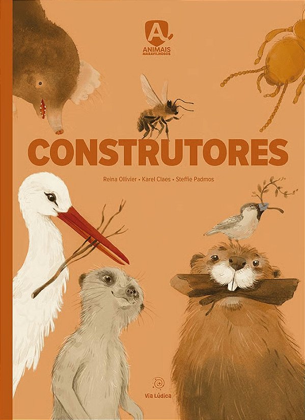 Construtores