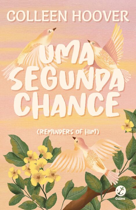 Livro Uma segunda chance (Fenômeno do TikTok)
