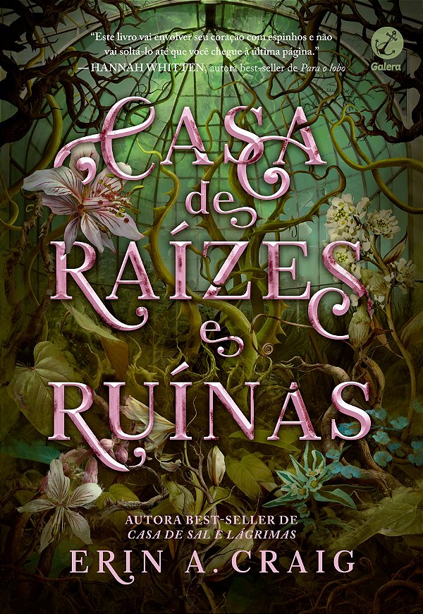 Livro Casa de raízes e ruínas (vol. 2 irmãs do sal)