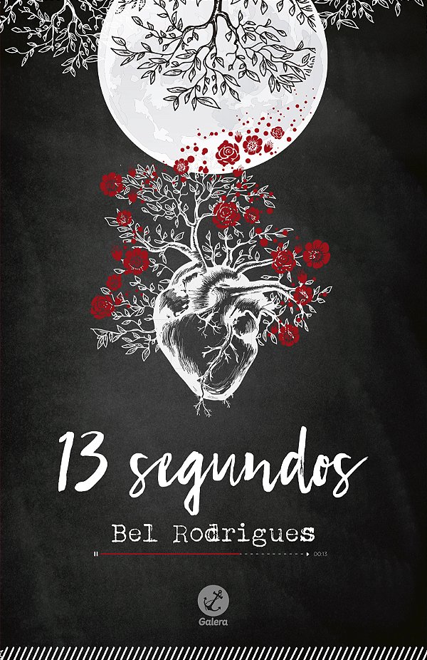 Livro 13 segundos