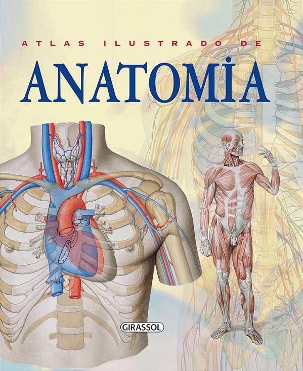 Livro Atlas Ilustrado De Anatomia - 02Ed/24