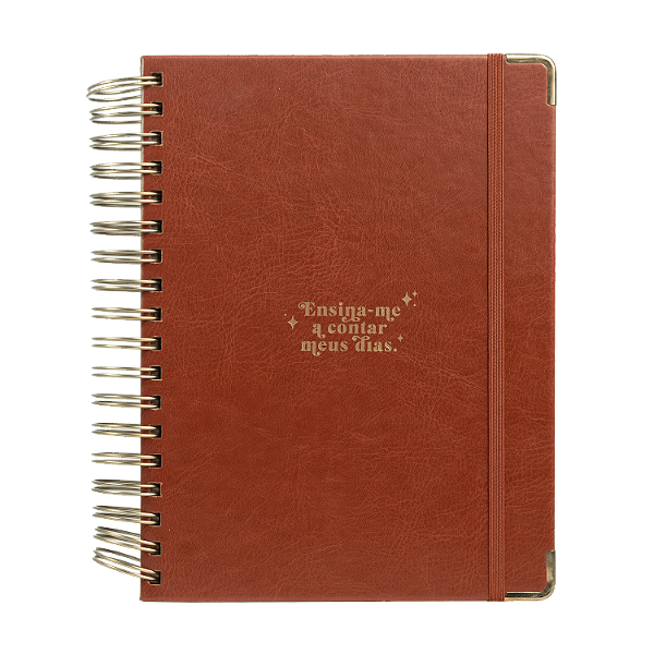 Livro Meu plano perfeito, capa couro, clássica | Planner ...