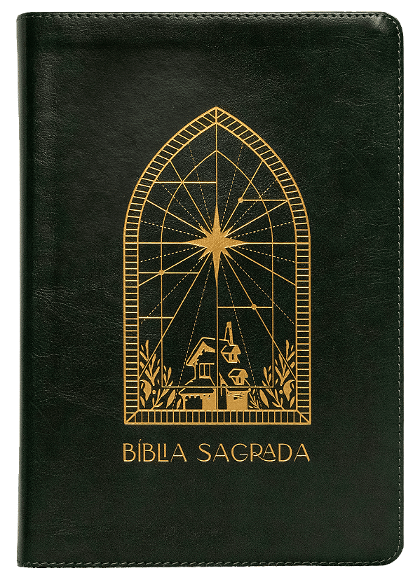 Livro The Purpose Book: Bíblia Sagrada, A21, Couro Soft, Verde