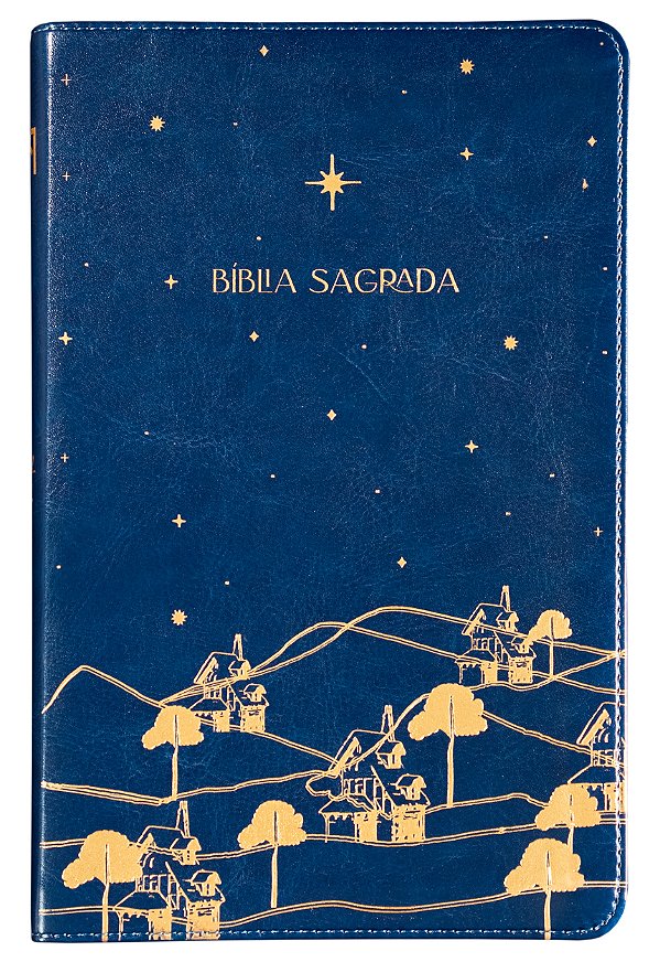 Livro The Purpose Book - Biblia Sagrada, A21 - Azul
