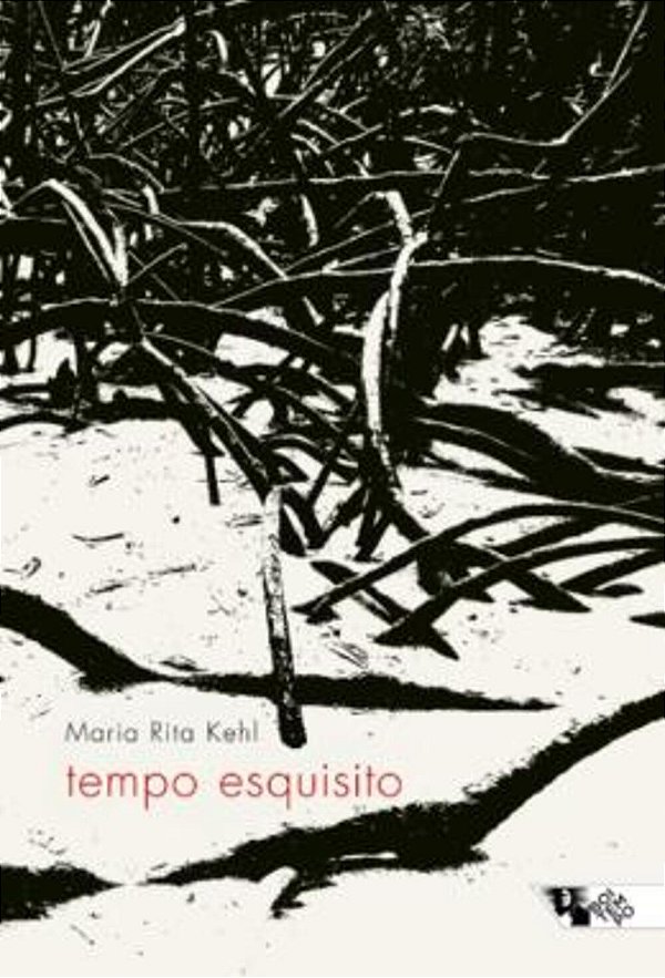 Livro Tempo esquisito