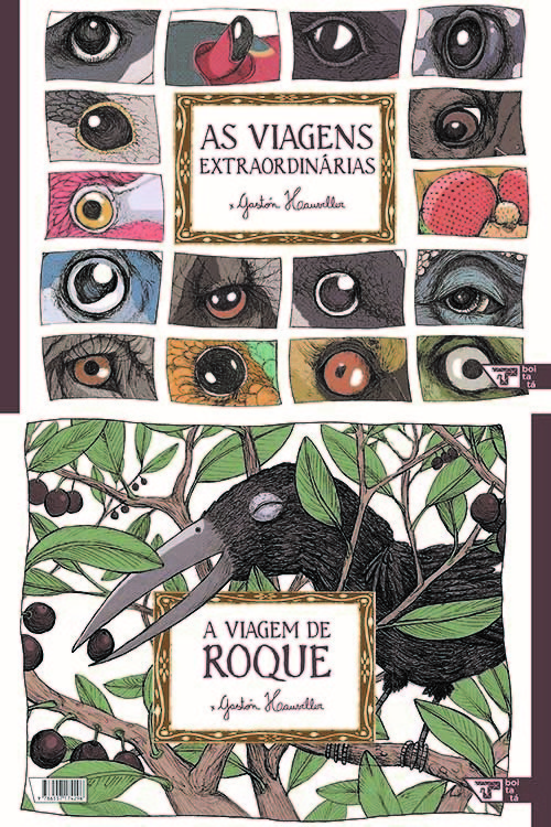 Livro As viagens extraordinárias/A viagem de Roque