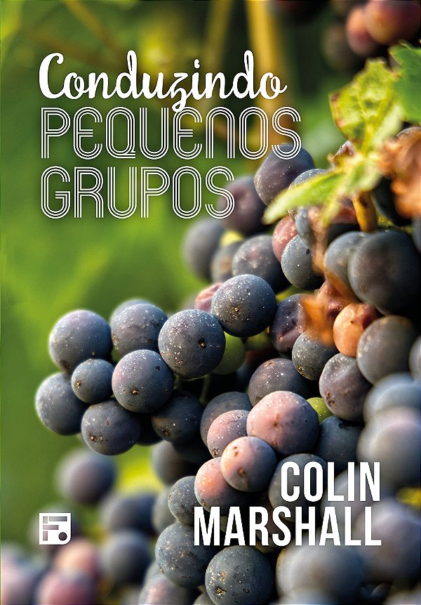 Livro Conduzindo Pequenos Grupos