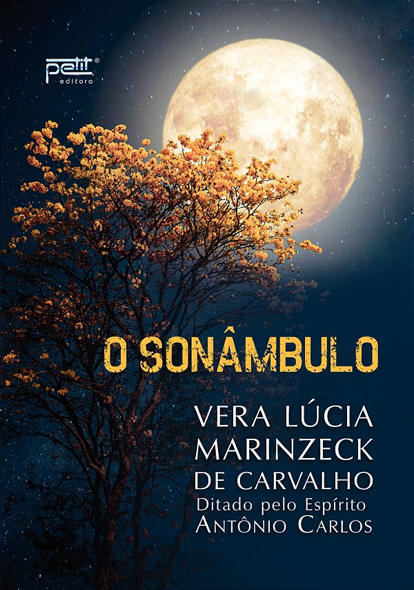 Livro O sonâmbulo