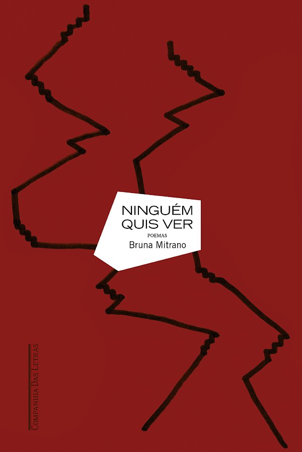 Livro Ninguém Quis Ver