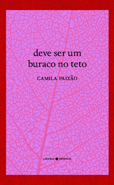 Livro Deve ser um buraco no teto