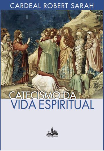 Livro Catecismo da vida espiritual (Volume 1)