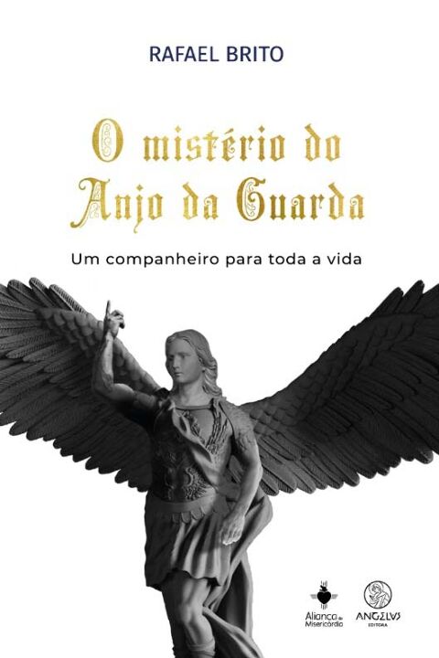 Livro O mistério do anjo da guarda