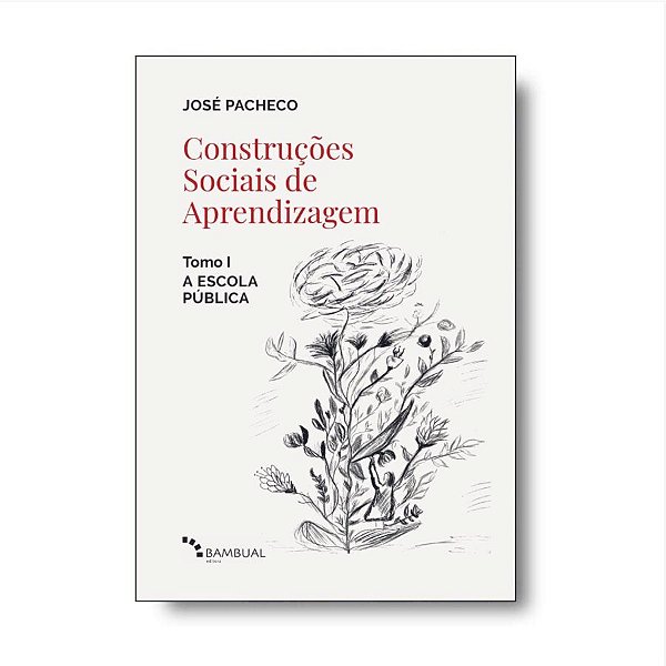 Livro Construções Sociais De Aprendizagem - Tomo I - A Es...