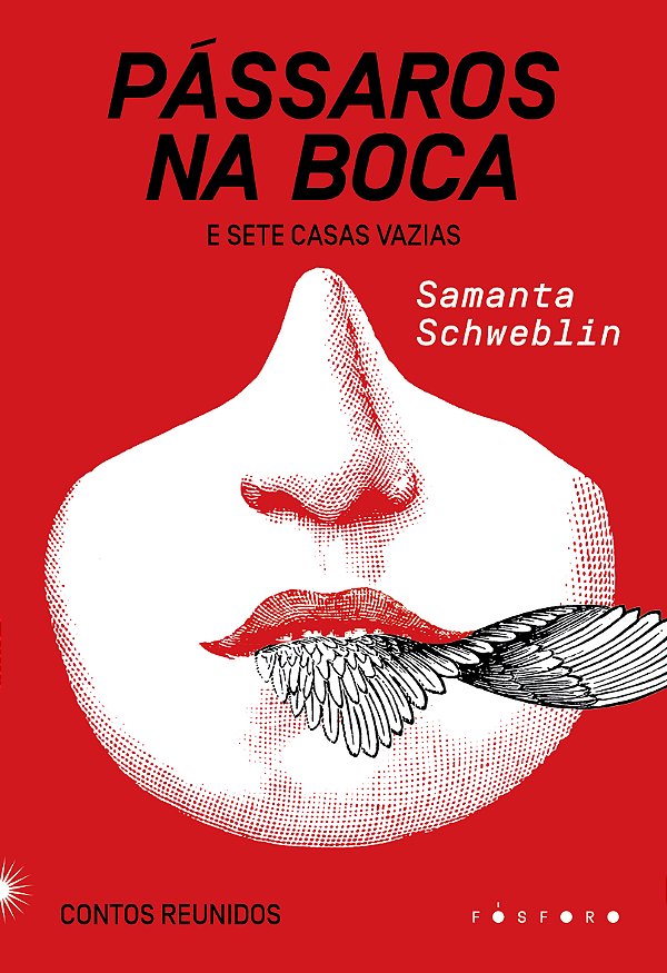 Livro Pássaros na boca e sete casas vazias