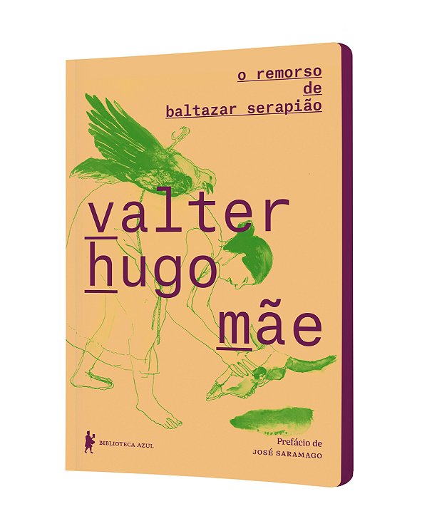 Livro O remorso de Baltazar Serapião