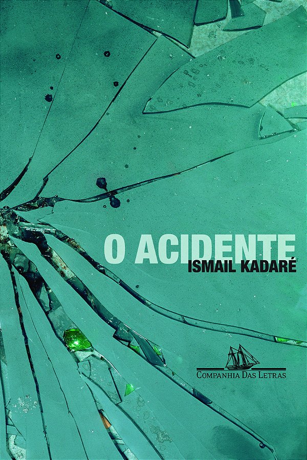 Livro O acidente