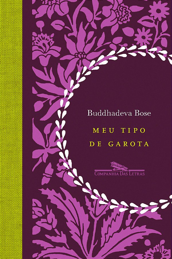 Livro Meu tipo de garota
