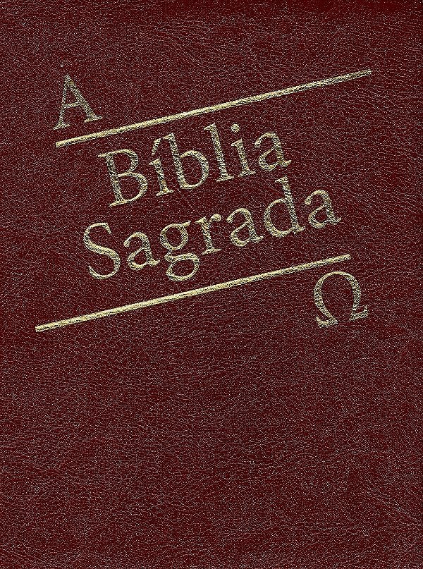 Livro Biblia sagrada dourada bordo