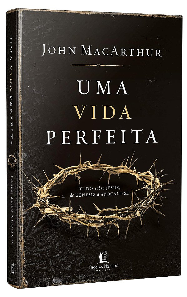 Livro Uma vida perfeita - Repack