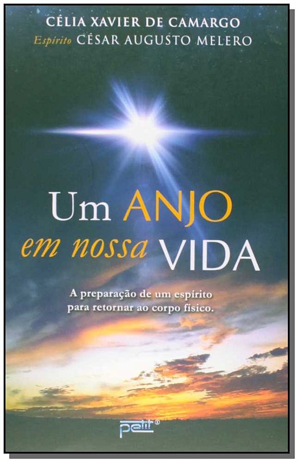 Livro Um anjo em nossa vida