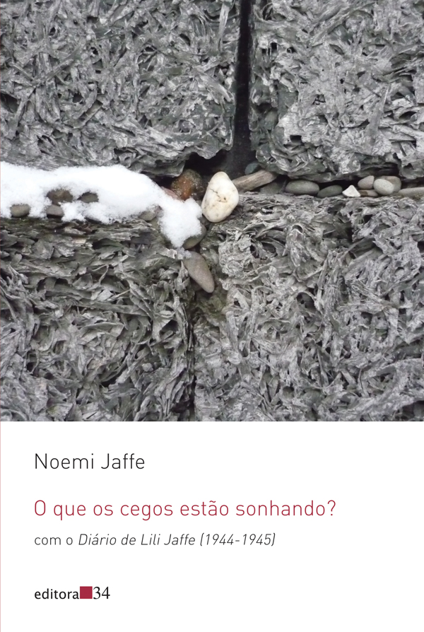 Livro O que os cegos estão sonhando?: com o Diário de Lil...
