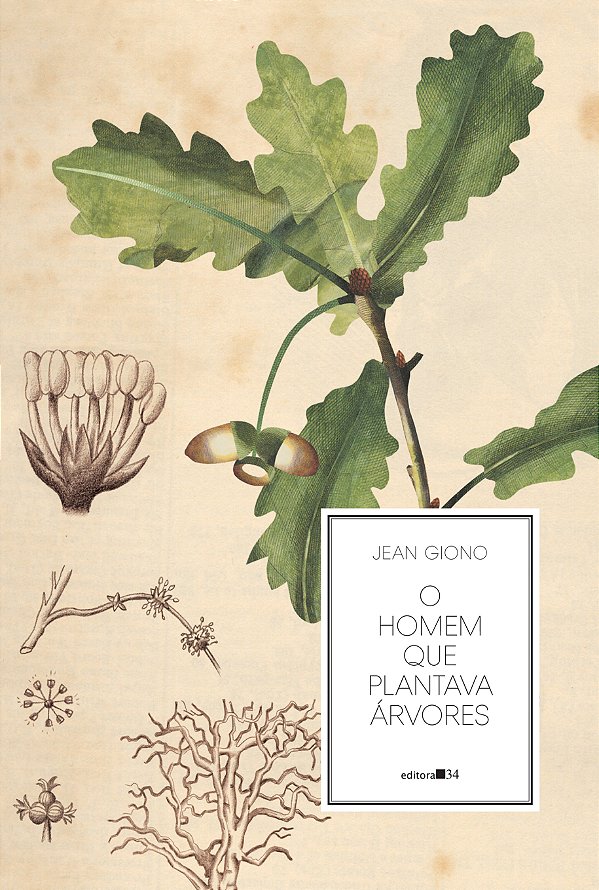 Livro O homem que plantava árvores