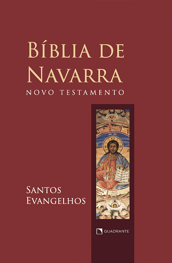 Livro Biblia De Navarra - Novo Testamento: Santos Evange