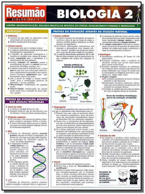 Livro Biologia 2