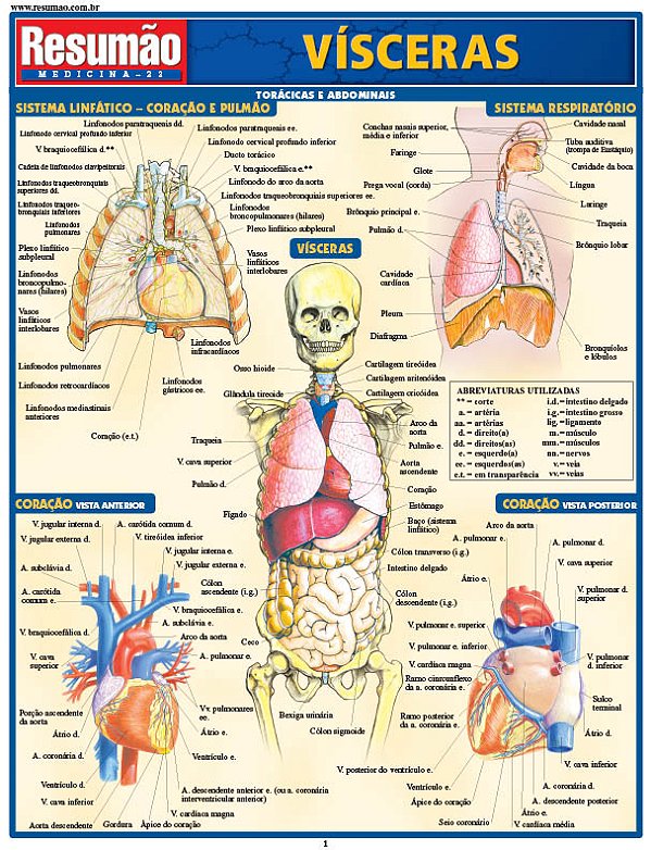 Livro Vísceras