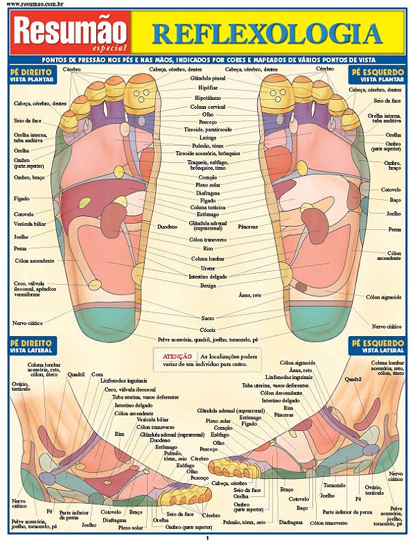 Livro Reflexologia
