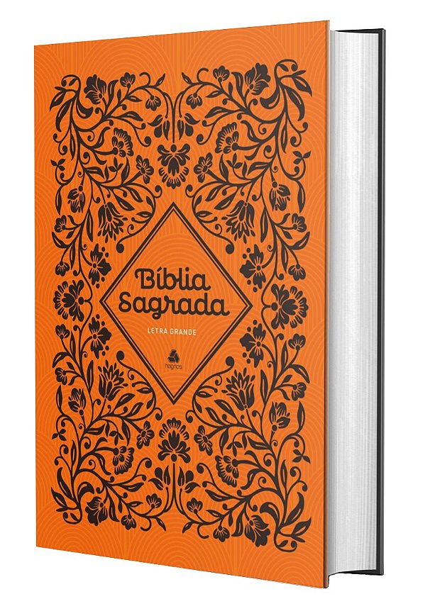 Livro Bíblia Sagrada Nvi - Letra Grande - Clássica