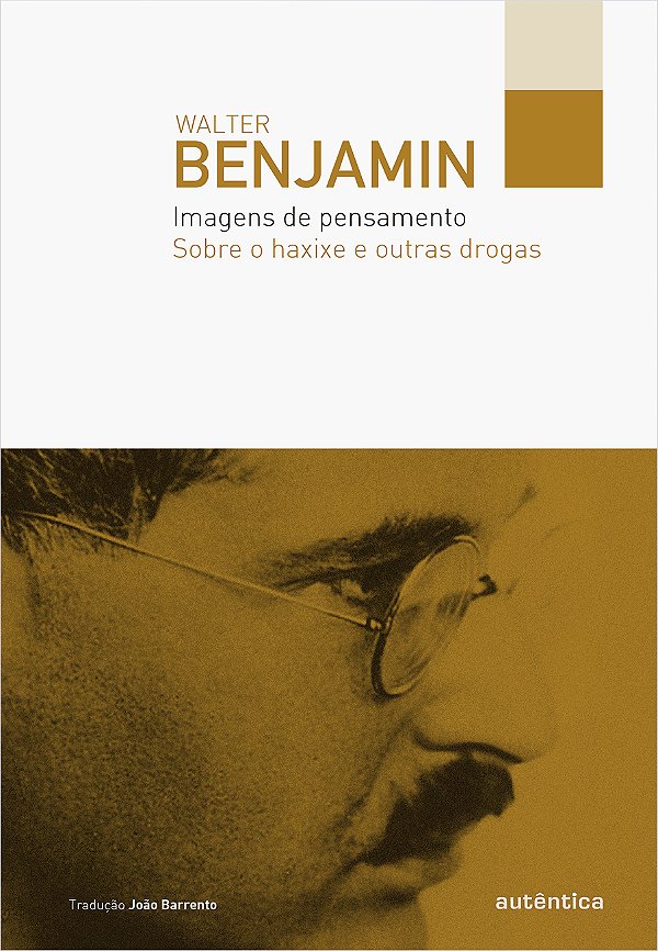 Livro Imagens de pensamento: Sobre o haxixe e outras drog...