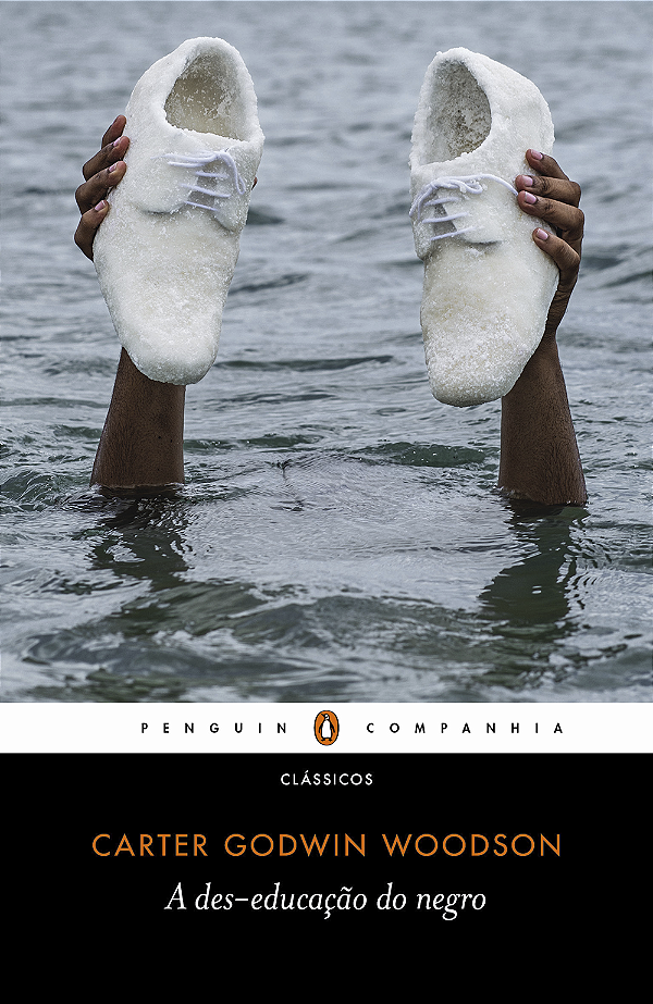 Livro A des-educação do negro