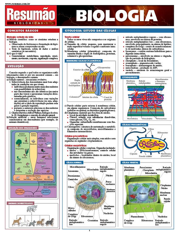 Livro Biologia
