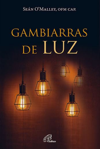 Livro Gambiarras De Luz