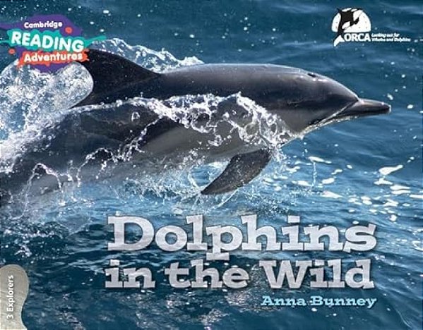 Dolphins In The Wild - 3 Explorers