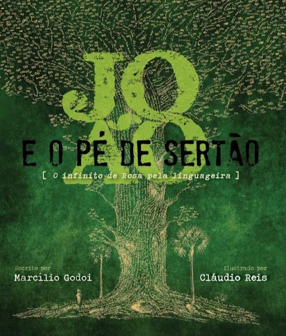 João e o pé de sertão: o infinito de Rosa pela linguageira