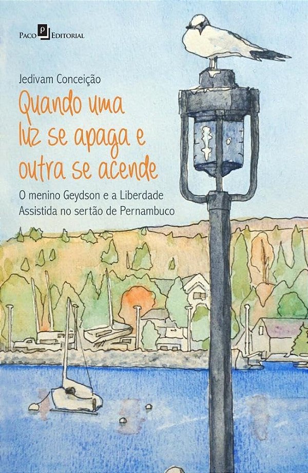 Quando uma luz se apaga e outra se acende: o menino Geydson e a liberdade assistida no sertão de Pernambuco