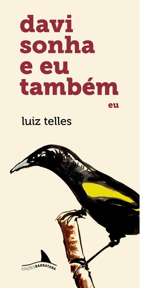 Davi sonha e eu também: Eu: Vol. 1