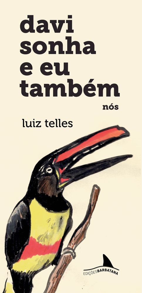 Davi sonha e eu também: Nós: Vol. 3 (Volume 3)