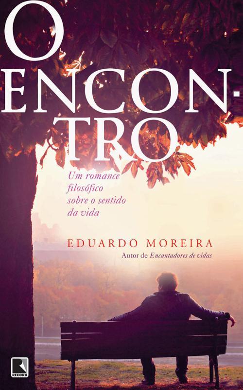 Livro O encontro: Um romance filosófico sobre o sentido d...