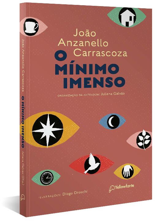 Livro O mínimo imenso