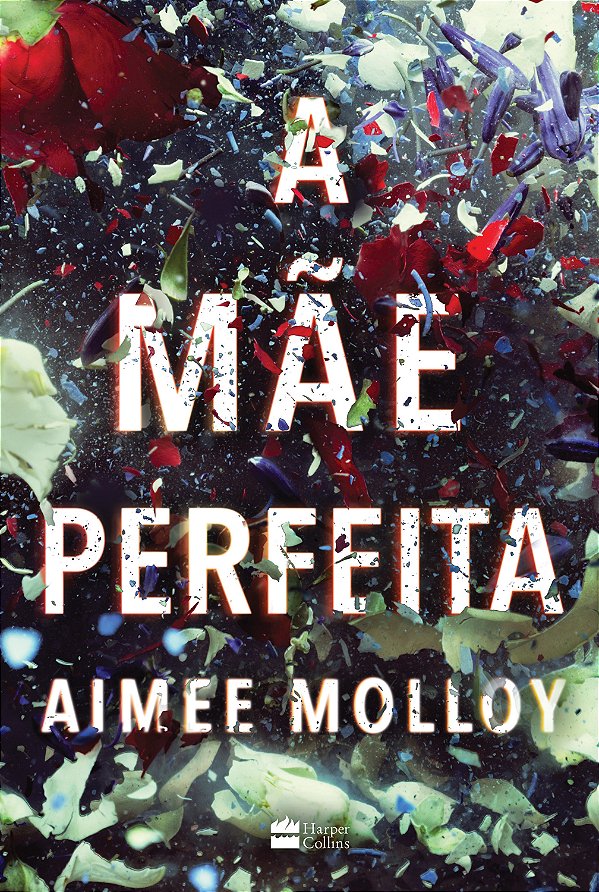 Livro A mãe perfeita
