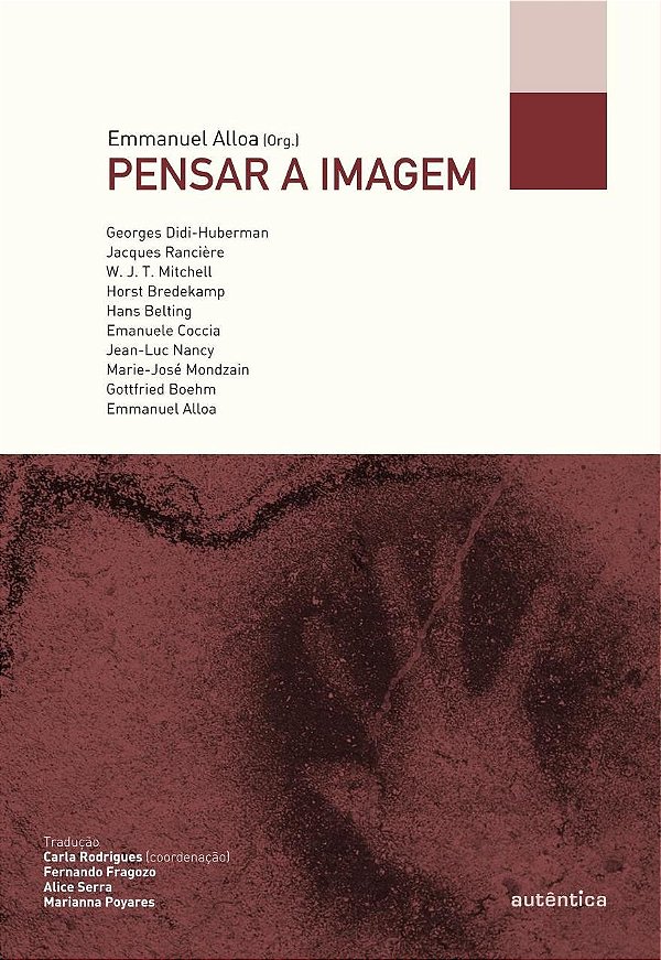 Pensar a imagem