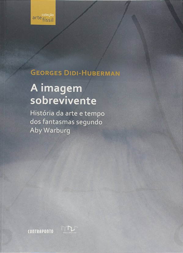 Imagem Sobrevivente, A: Historia Da Arte E Tempo Dos Fantasmas Segundo Aby