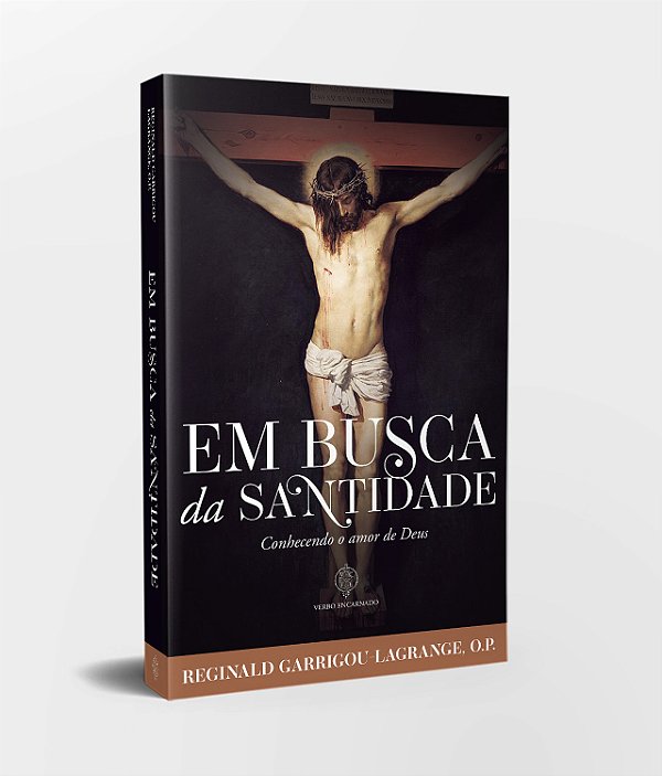 Livro Em Busca Da Santidade